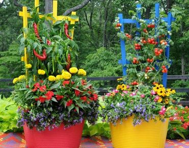 Container gardening saves space