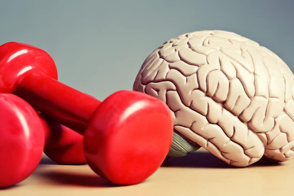 Include aerobic & resistance training for brain health