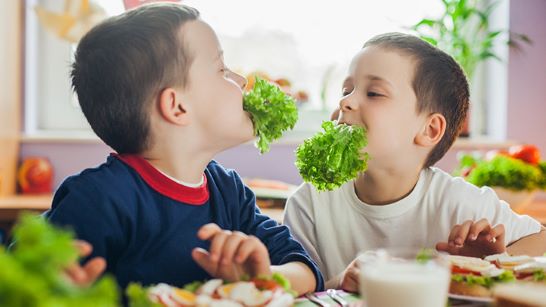 Vegetable intake increases when kids are offered a variety of vegetables rather than a single one