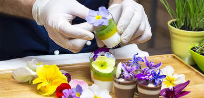 Edible flowers make a great healthy start