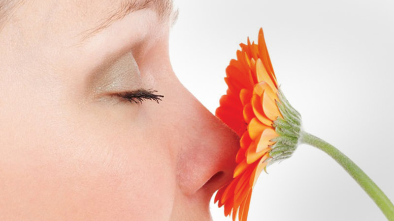 A smell disorder can lead to weight gain/loss 