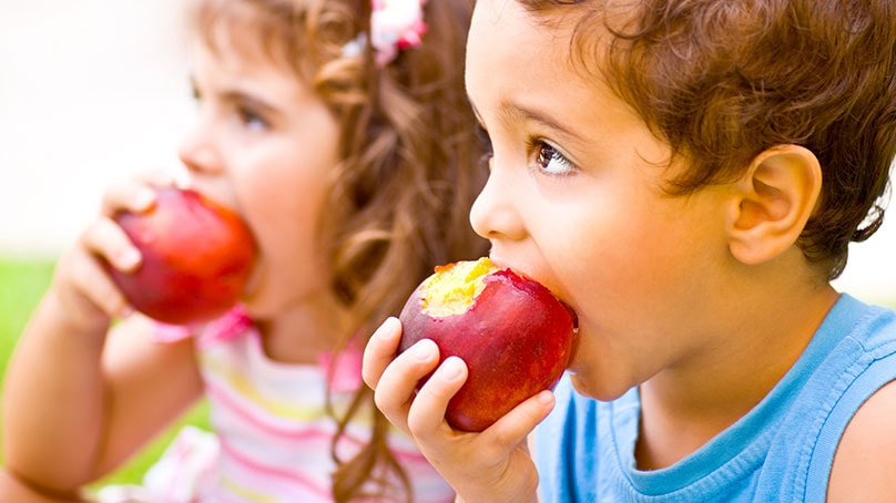 Apples help improve diet quality