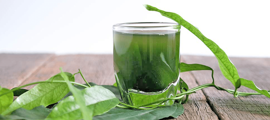 There are no definite evidences to show the beneficial effects of chlorophyll water