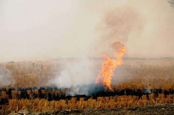 Farmers don't have an alternate method for stubble burning that could minimize pollution levels