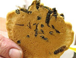 Insects contain a nutty flavor