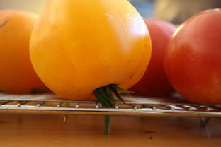 Keep tomatoes in room temperature