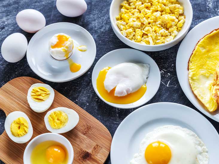 Egg Yolk Contains Maximum Proteins