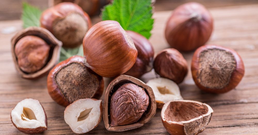 Hazelnut is rich in micronutrients