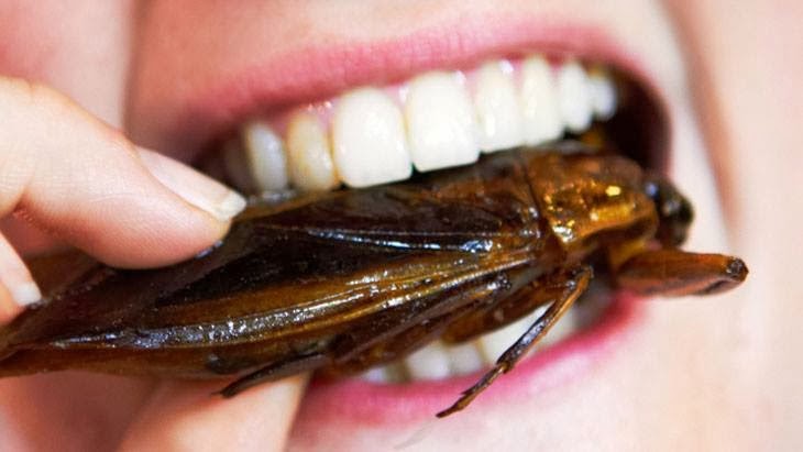 Insects have been consumed since centuries by people in developing countries