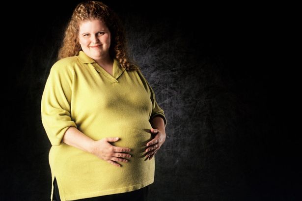 Offspring of obese mothers generally are susceptible to metabolic conditions