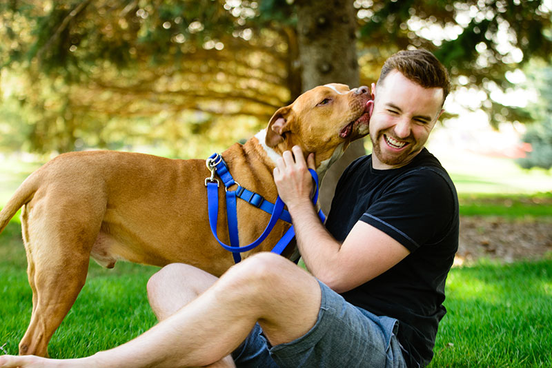 Pets help individuals avoid loneliness