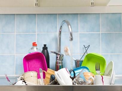 Kitchen towels are host to many bacteria