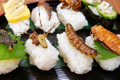 Japan has introduced expensive insect delicacies that has won the hearts of millions 