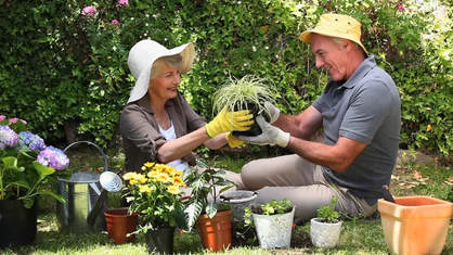 Gardening is as much an exercise as a stress-buster