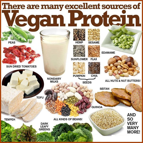 Stay away from diseases by adhering to plant-based protein sources