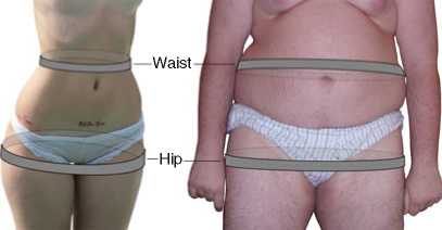 Hip and Waist Measurement