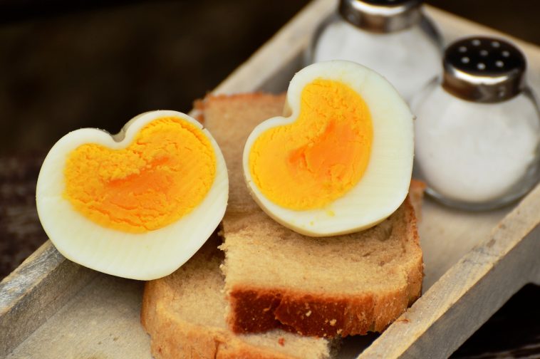Egg whites contain no fat
